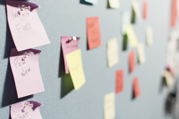 Project Management