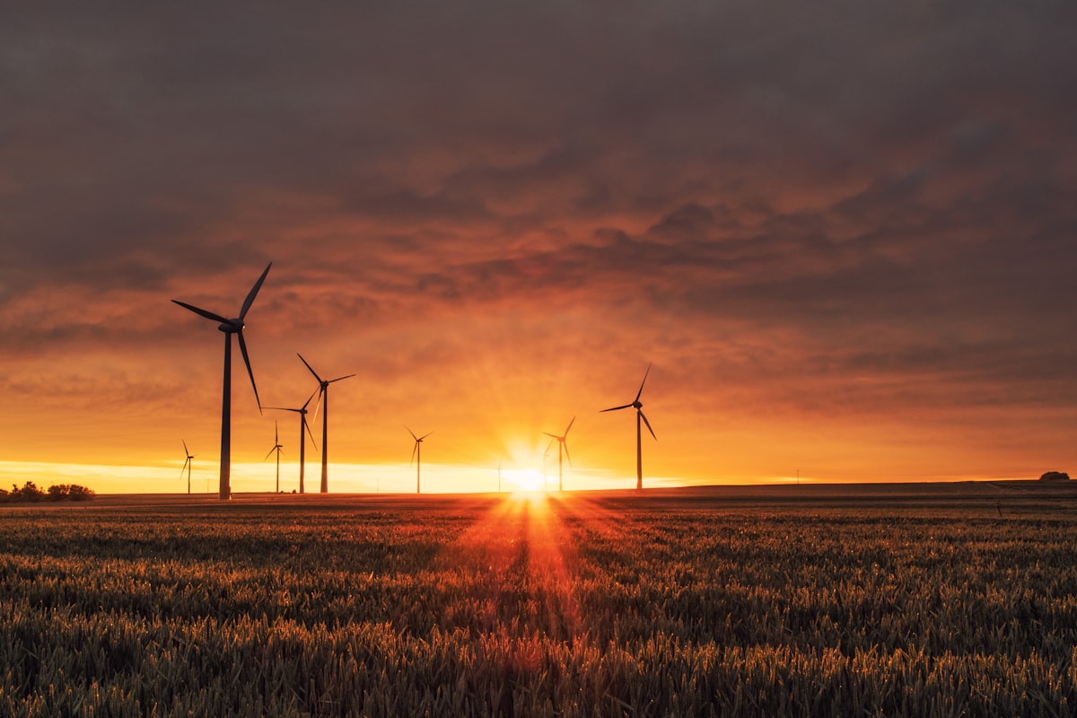Energy & Decarbonisation